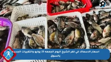 أسعار الأسماك في كفر الشيخ اليوم الجمعة 25 يوليو والتغيرات الجديدة بالسوق